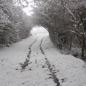 snow hartest 30 01 09 027