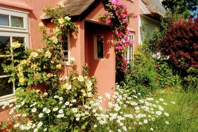 The Cottage