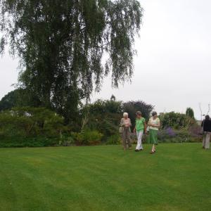 DSC01982