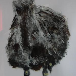 ATbird
