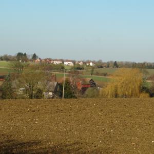 DSC01594