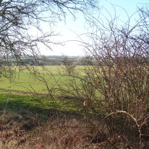 DSC01595