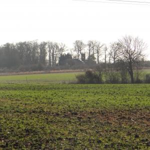 DSC01603