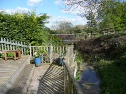 Garden of 4 coppy meadow